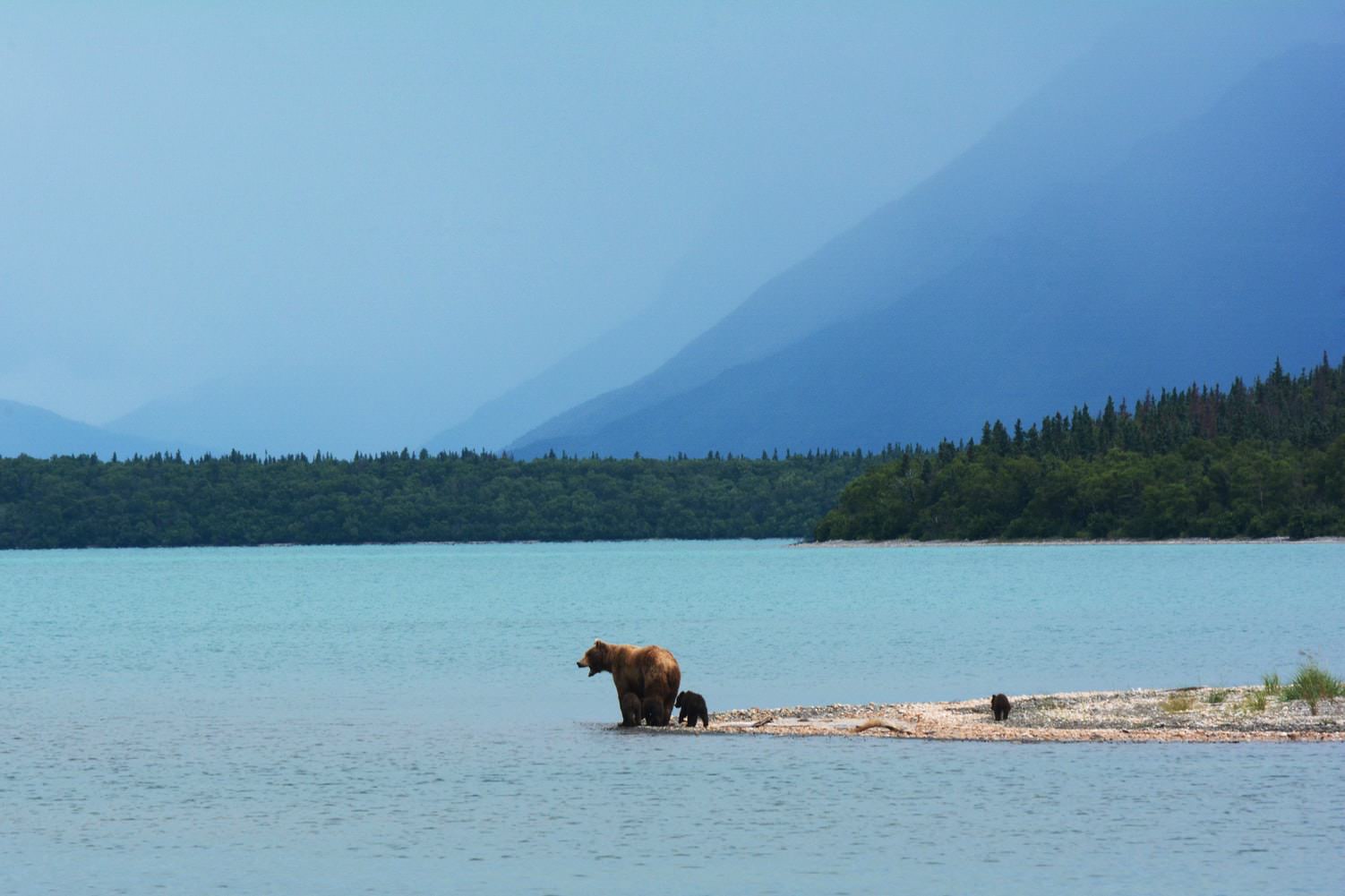 Take a Heli Alaska Unsplash copy