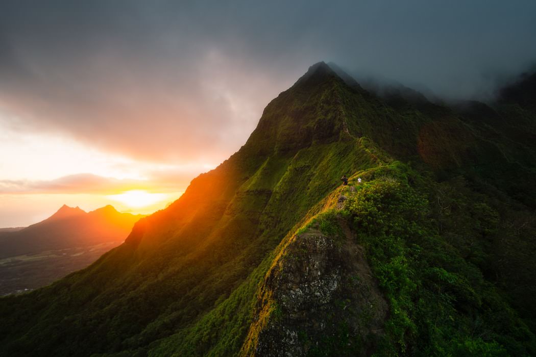 Take a day trip to Maui photo-1542332213-31f87348057f