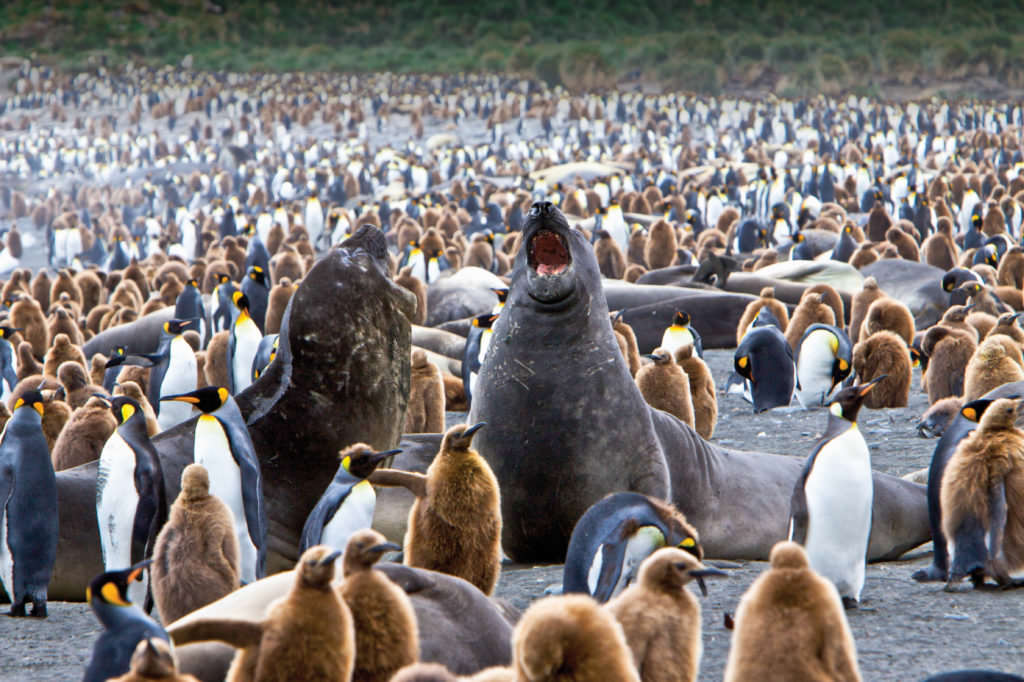 _MG_1589.jpg _MG_1589.jpg