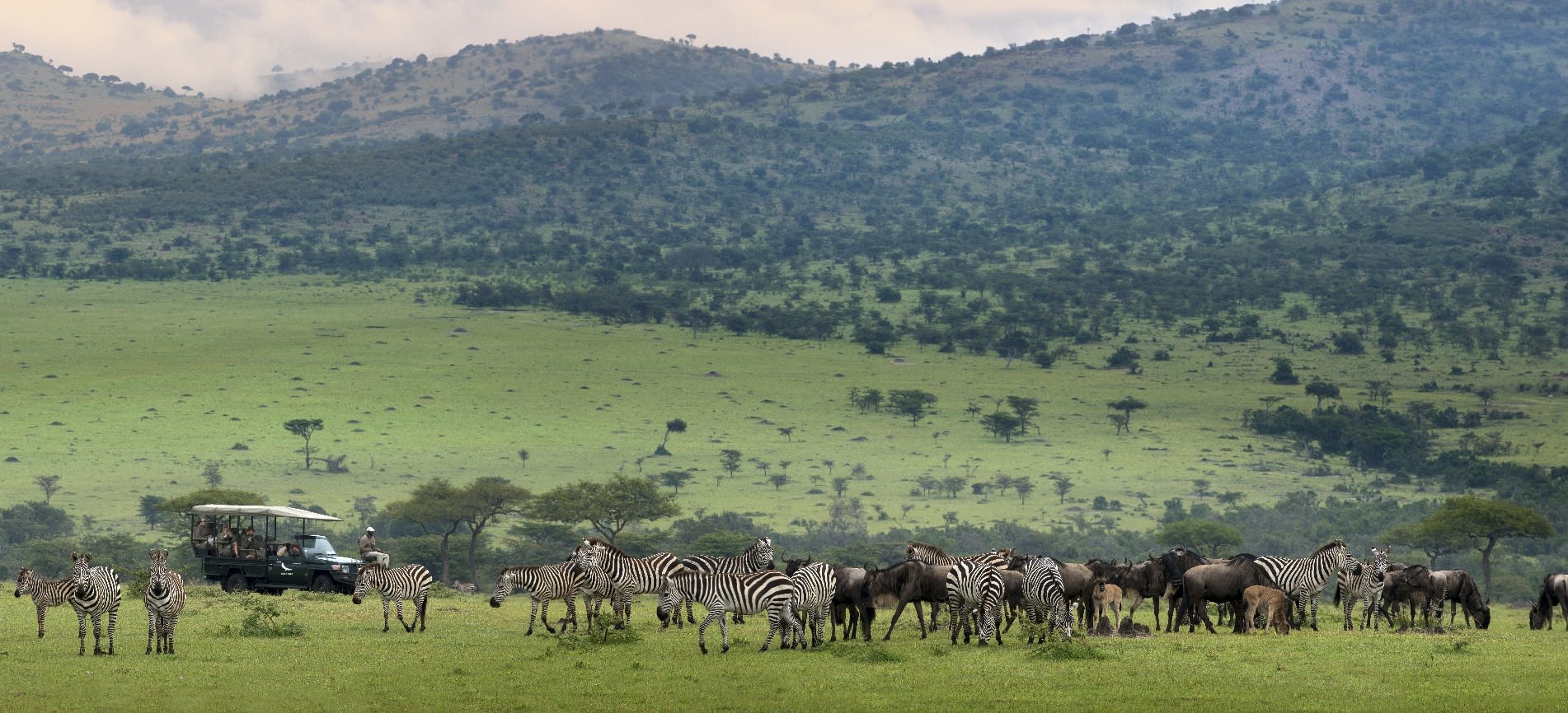 The Great Migration & Mara River Crossing