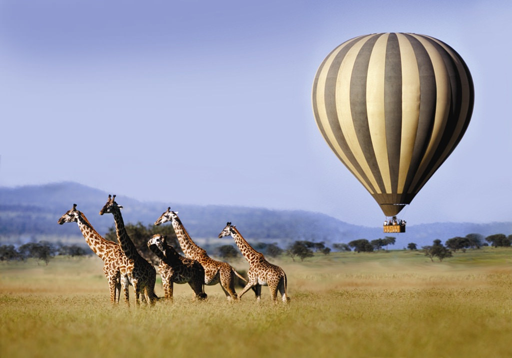 Hot Air Balloon Safari