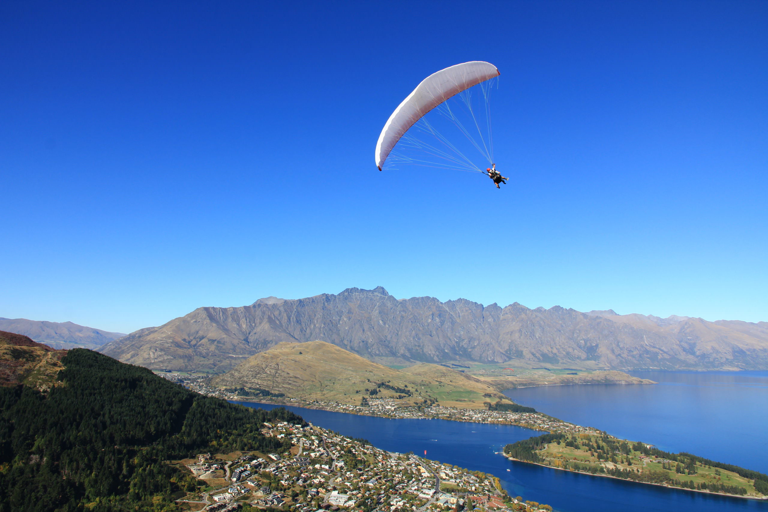 Action-Packed New Zealand