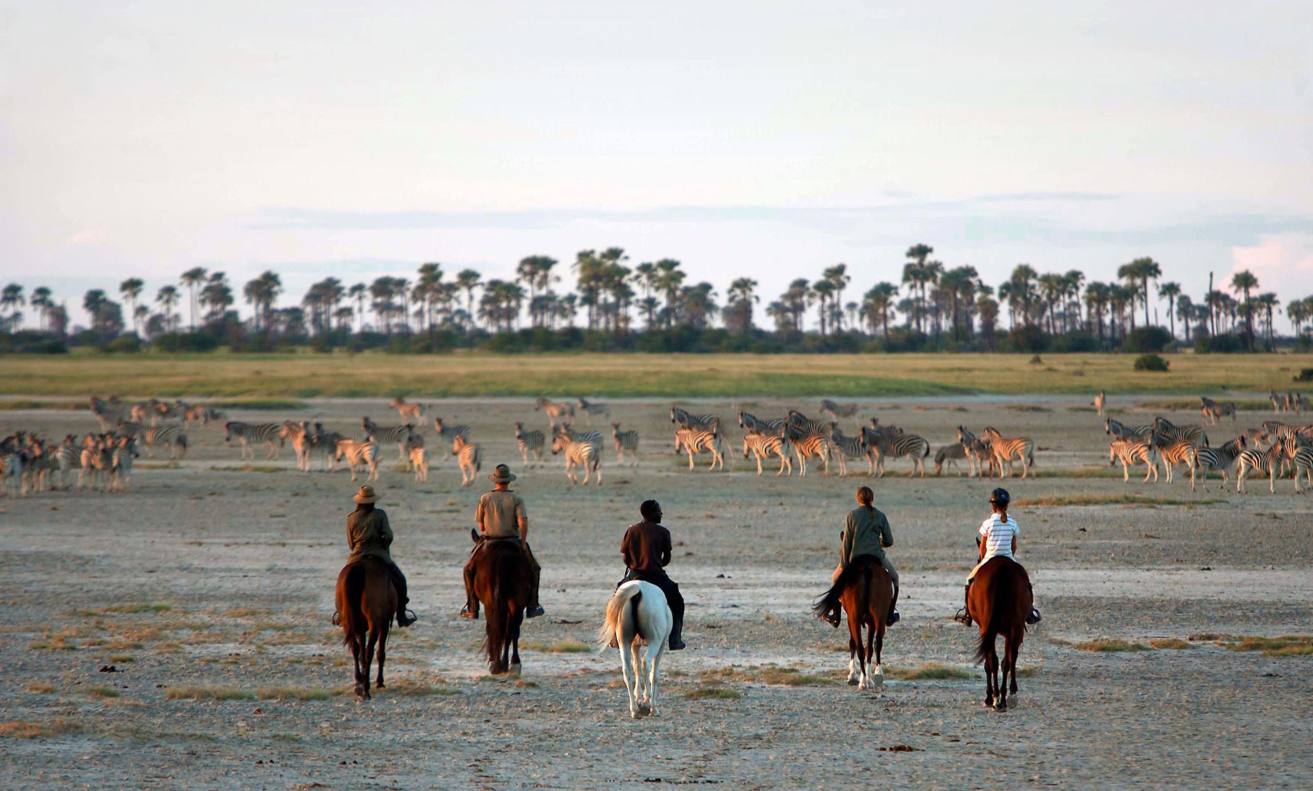 Out of the Ordinary Safaris