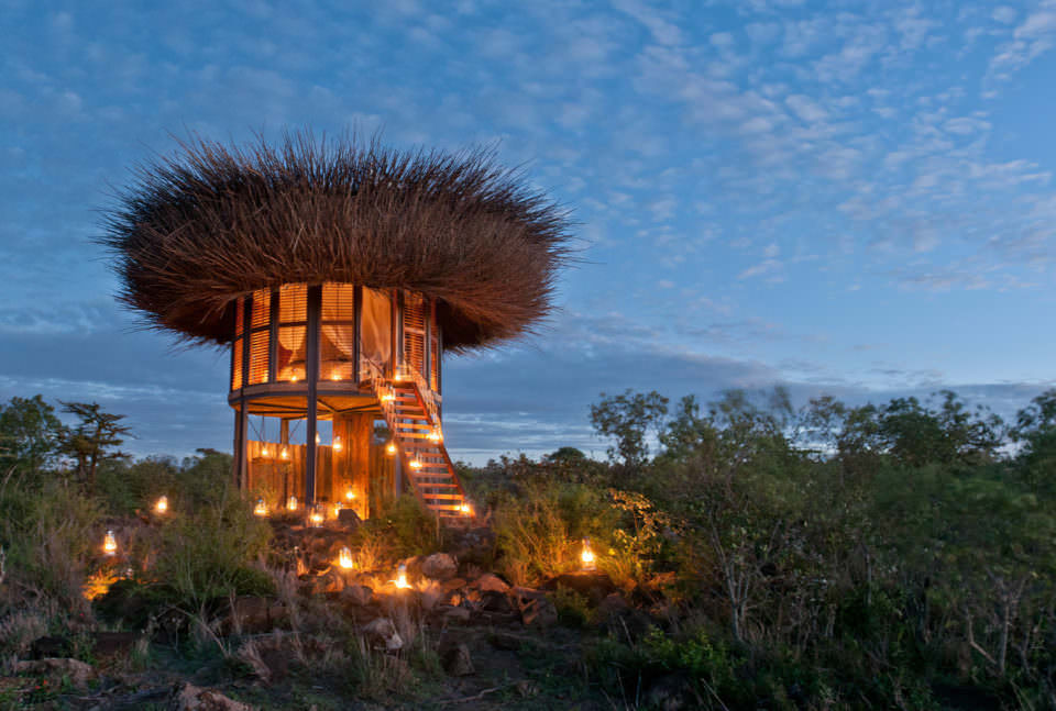 Sleep in a Luxurious Bird’s Nest