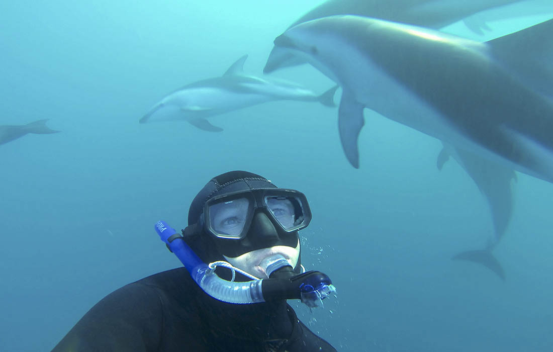 Swim with WILD Dolphins