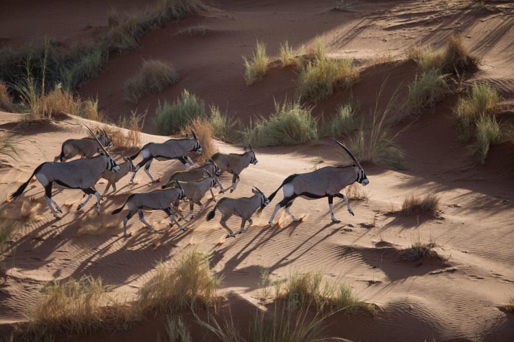 Scenic-Helicopter-Flight-Oryx-andBeyond-Sossusvlei__1_