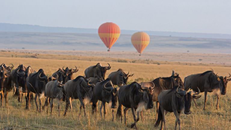 Serengeti-Balloon-Safari-andBeyond-Experience-768x432-1