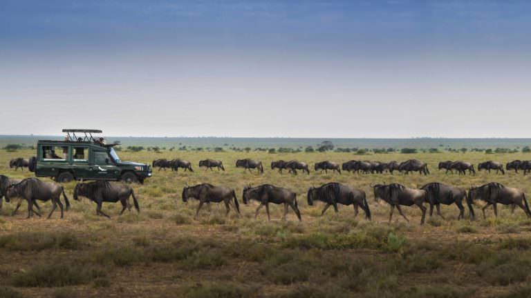 Serengeti-Under-Canvas-game-drive-768x432-1