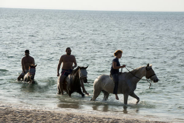 Horseback Rides On The Beach