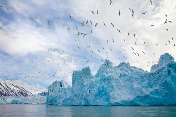 Glacier hike with a climate scientist