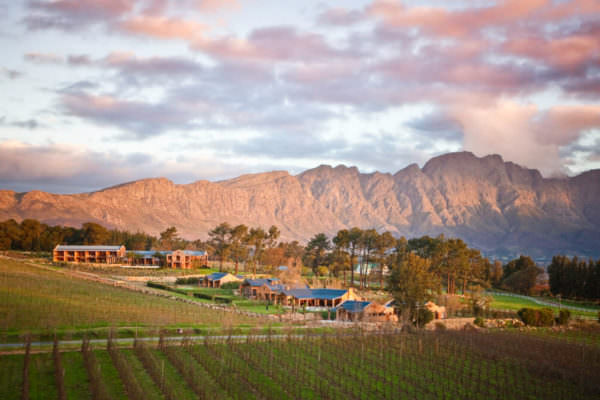 Cape WINELANDS