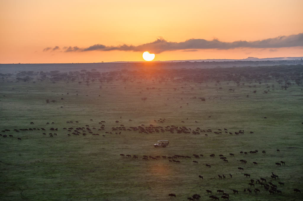 BANNER Legendary Serengeti Mobile Camp - migration under the sunset BANNER Legendary Serengeti Mobile Camp - migration under the sunset