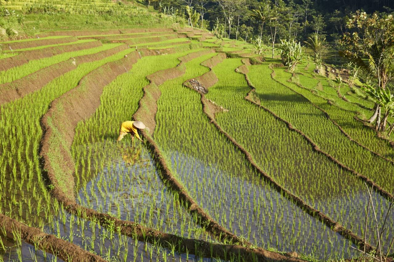 Indonesia