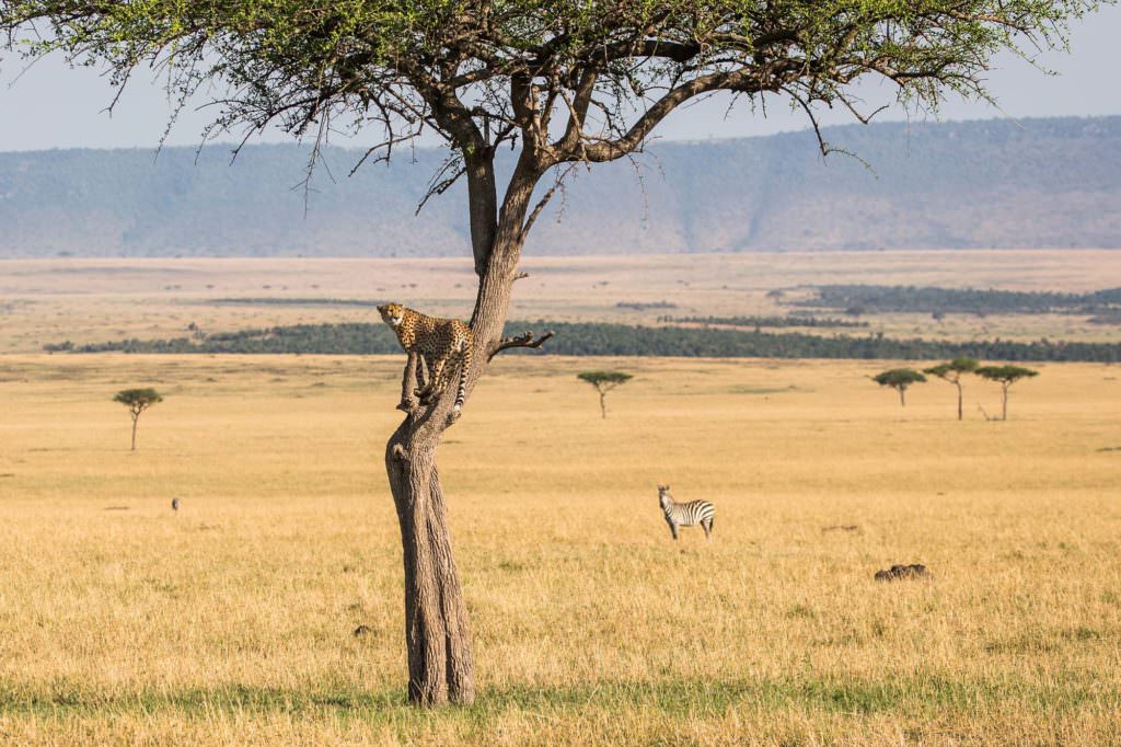 Legendary Expeditions - Tanzania Legendary Expeditions - Tanzania