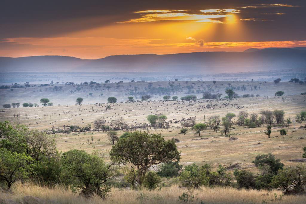 Legendary Expeditions - Tanzania Legendary Expeditions - Tanzania