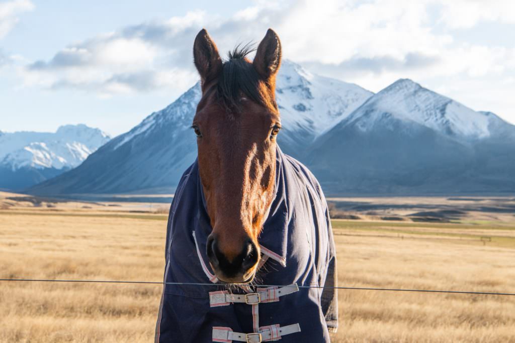 The_Lindis-19-SJP-19 The_Lindis-19-SJP-19