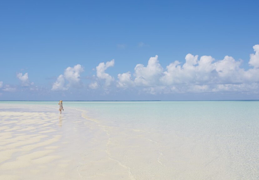 93a358cd30b4d4df10705f630f1f13eca1ee5237.47.9.26.3