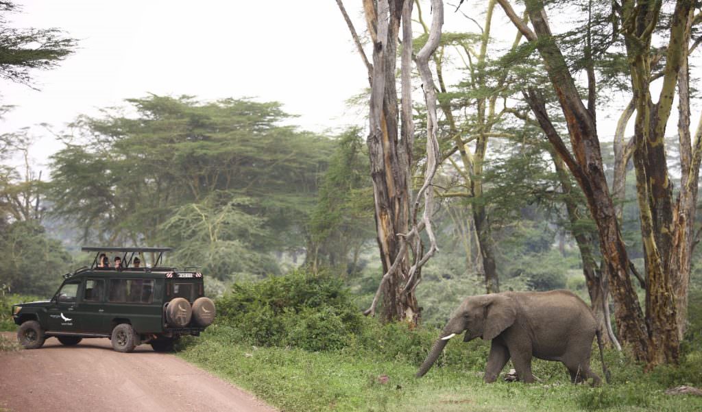 Game-drive-andBeyond-Ngorongoro-Crater-Lodge- 1 Game-drive-andBeyond-Ngorongoro-Crater-Lodge- 1