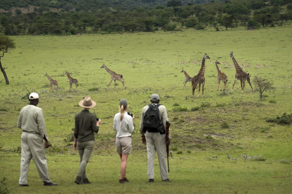 _Walking-safari-andBeyond-Kleins-Camp _Walking-safari-andBeyond-Kleins-Camp