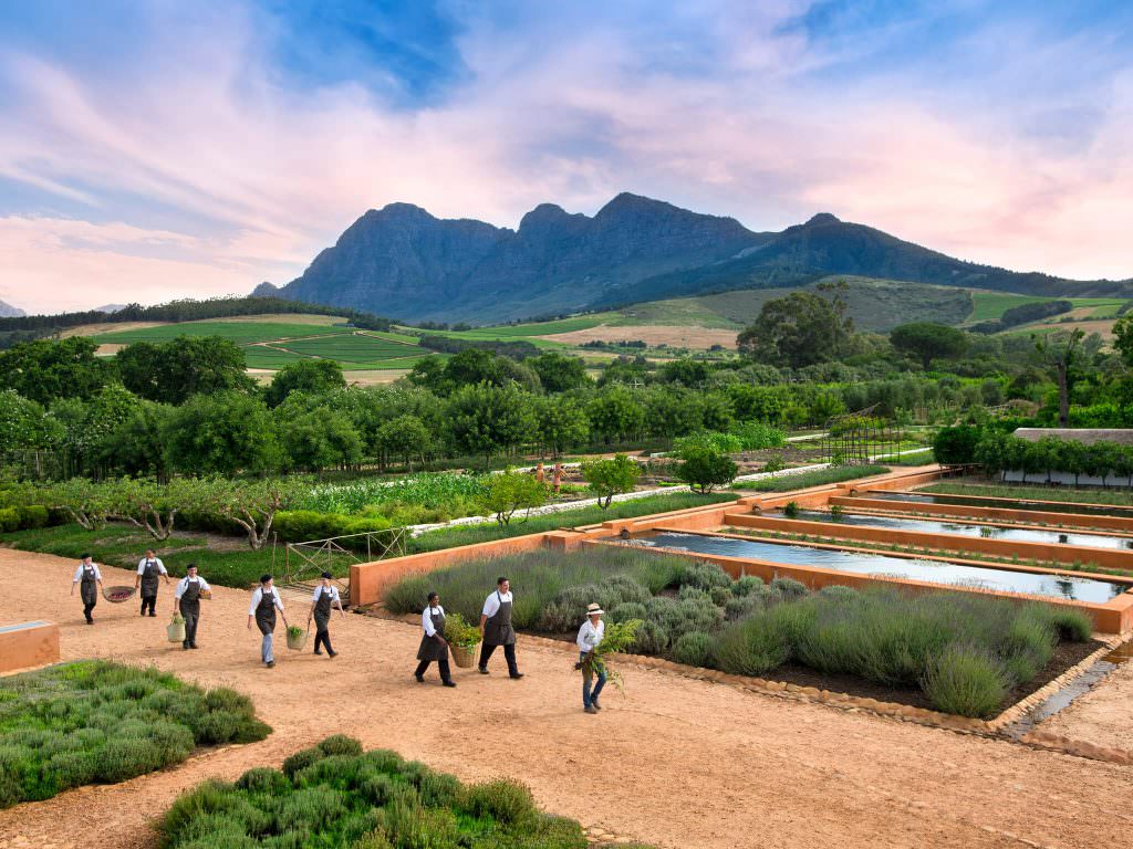 Explore – Babylonstoren Garden (9) Explore – Babylonstoren Garden (9)