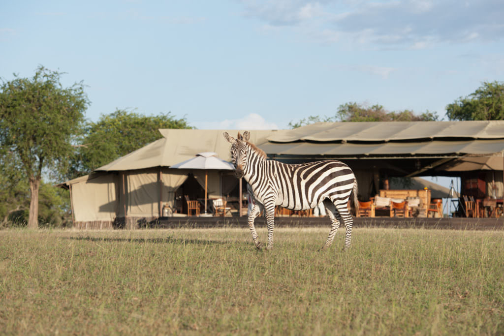 GRUMETI Singita-Sabora-Tented-Camp6 GRUMETI Singita-Sabora-Tented-Camp6