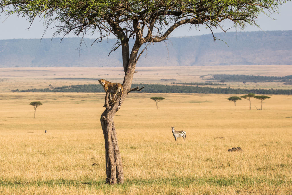 Legendary Expeditions - Tanzania Legendary Expeditions - Tanzania