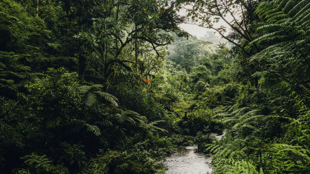 new-NH_OO_Activities_Waterfall_Trek_0076_MASTER-03 new-NH_OO_Activities_Waterfall_Trek_0076_MASTER-03