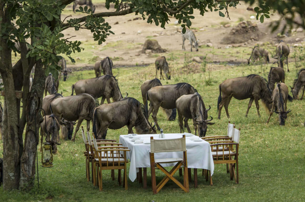 Serengeti Bushtops