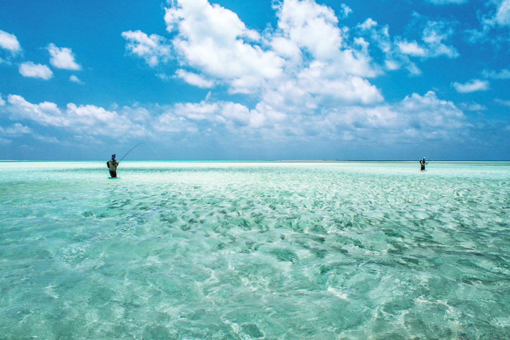 BlueSafari-AI-fly-fishing-scenic-02 BlueSafari-AI-fly-fishing-scenic-02