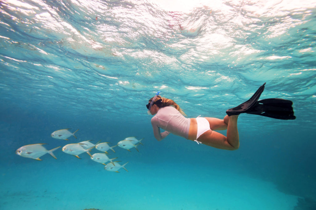 BlueSafari-alphonse-snorkelling-19-AnthonyGrote BlueSafari-alphonse-snorkelling-19-AnthonyGrote