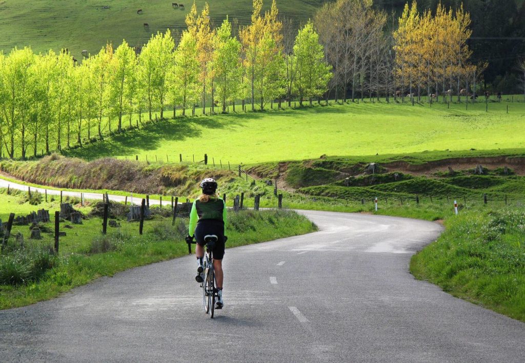 Edenhouse 42 smugmug Edenhouse 42 smugmug