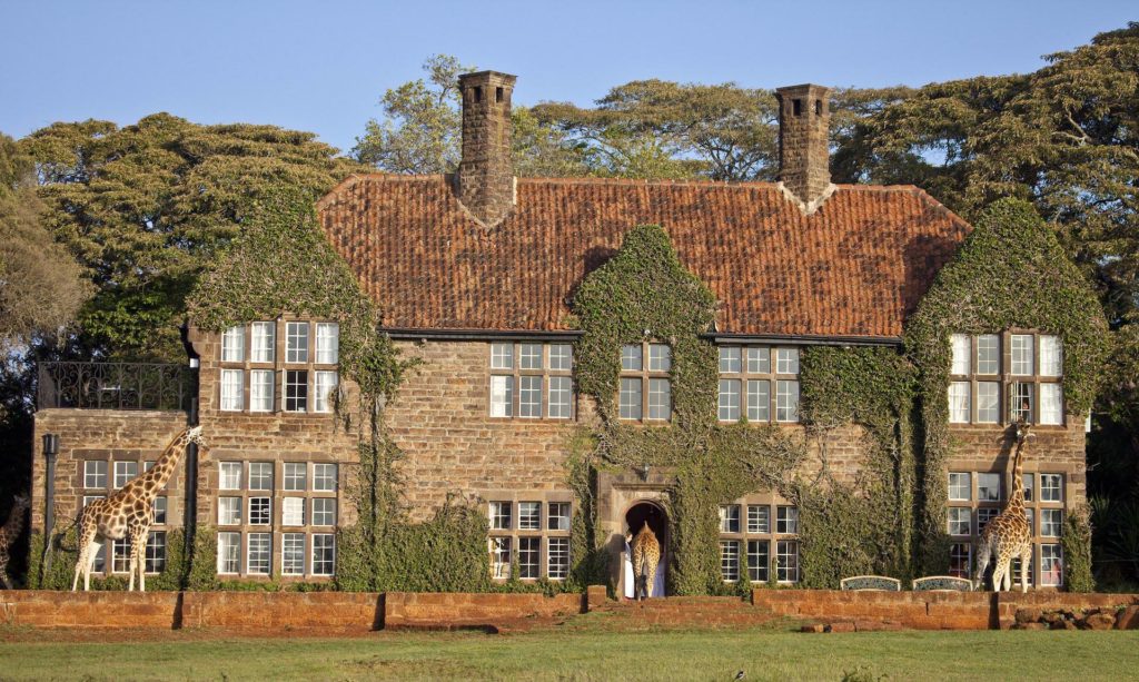 Kenya-9882 Kenya-9882