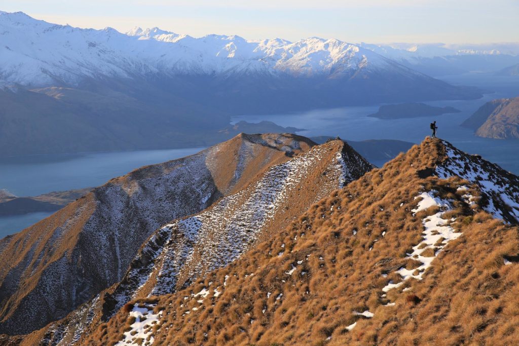 NEW ZEALAND gG6Hint8 NEW ZEALAND gG6Hint8