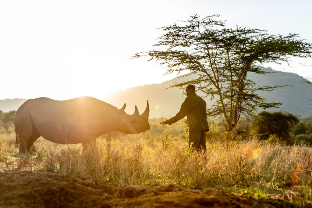 Ol Jogi -rescue rhino4 Ol Jogi -rescue rhino4