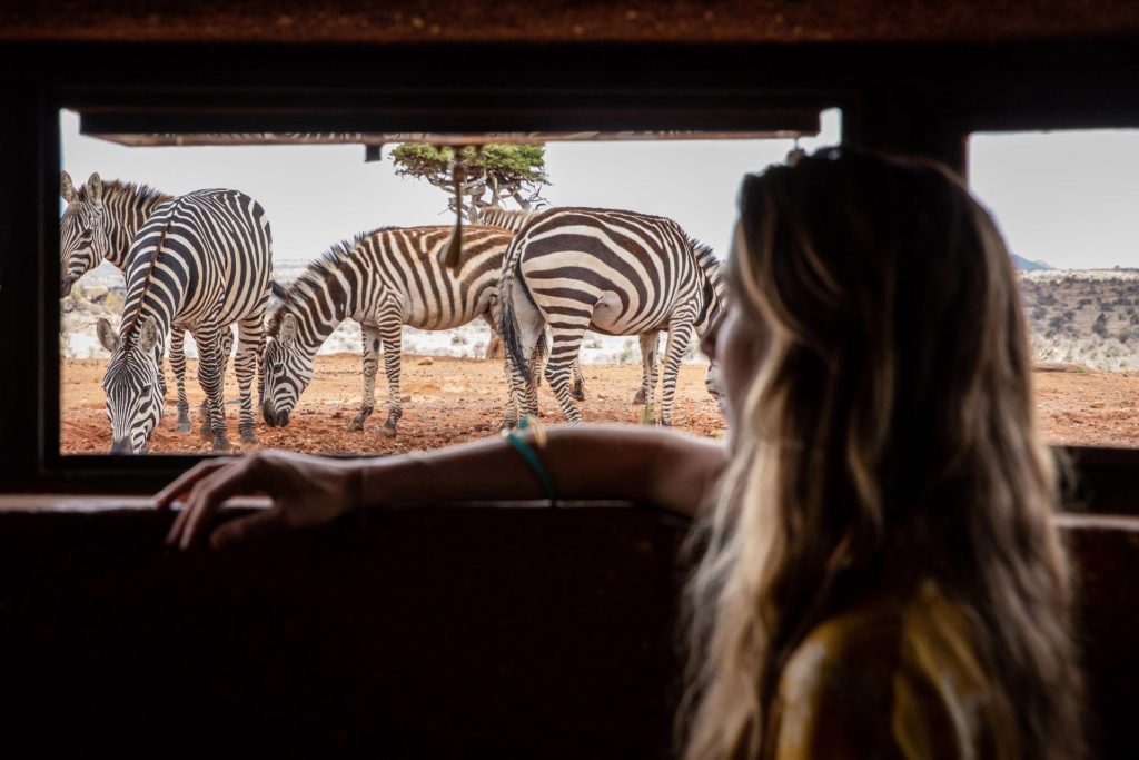 Ol Jogi-viewing blind Ol Jogi-viewing blind