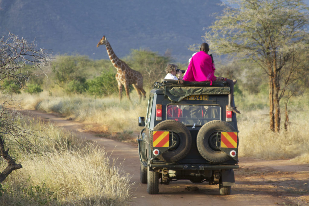 Sarara Giraffes decorating the landscapes of Sarara Sarara Giraffes decorating the landscapes of Sarara