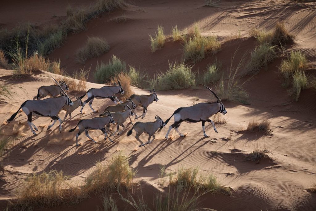 Scenic-Helicopter-Flight-Oryx-andBeyond-Sossusvlei__1_ Scenic-Helicopter-Flight-Oryx-andBeyond-Sossusvlei__1_