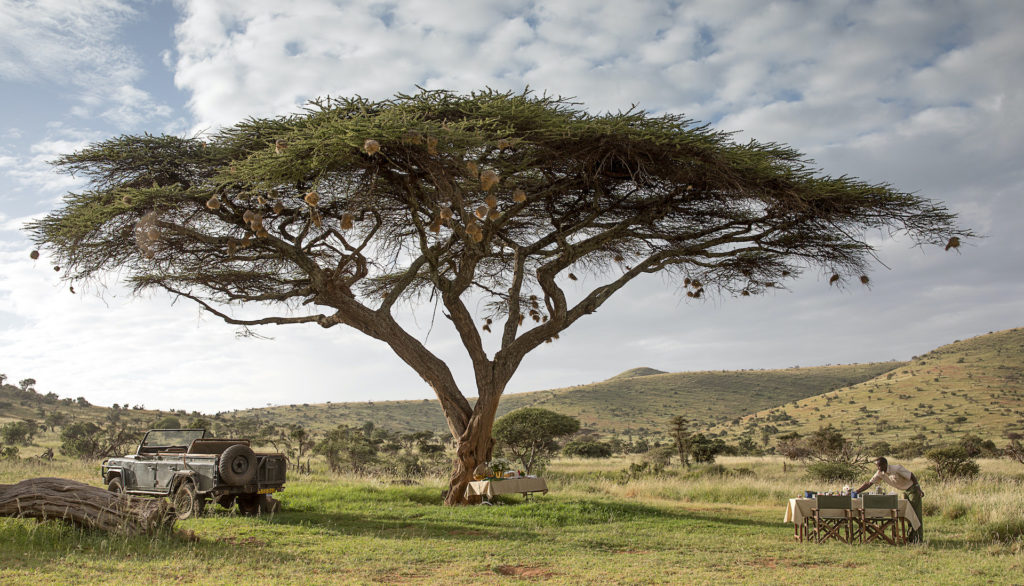 Sirikoi Bush Breakfast 2 Sirikoi Bush Breakfast 2