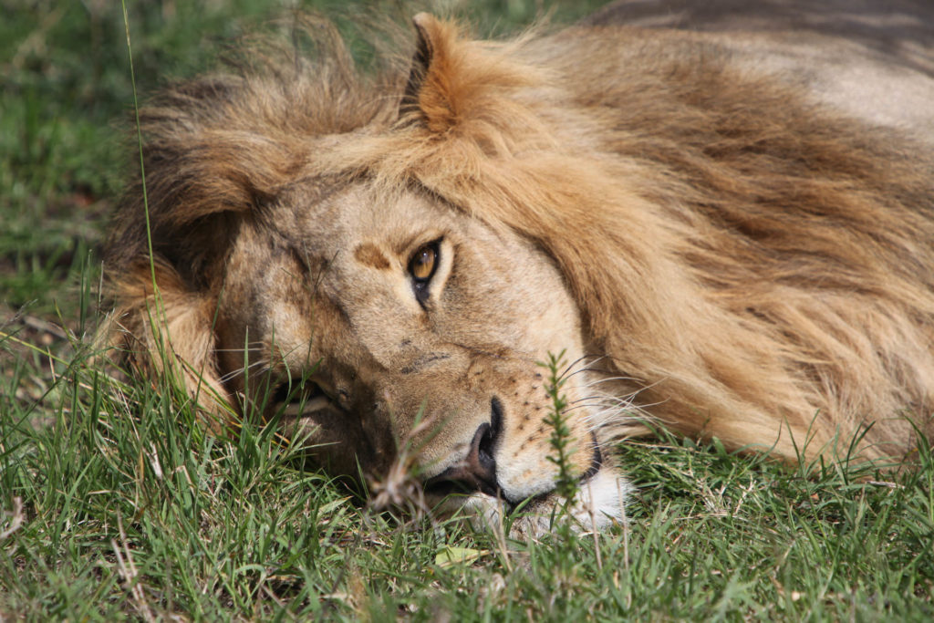 IMG_4694.JPG IMG_4694.JPG