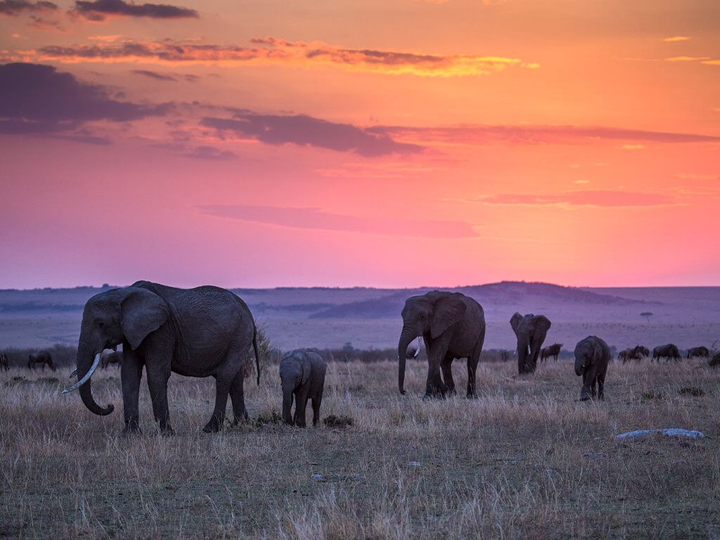 great-plains-maraexpedition-5 great-plains-maraexpedition-5