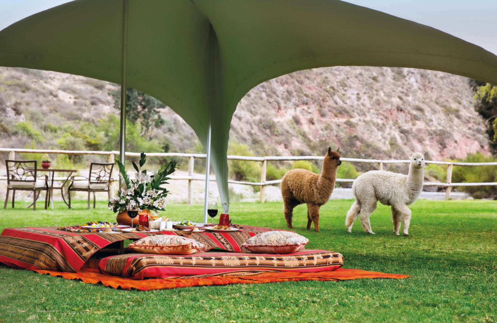 9200_High resolution