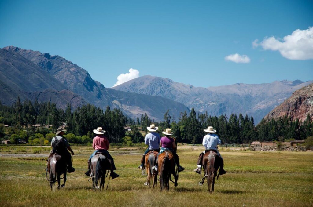 Valle Sagrado, Pichingoto D 127