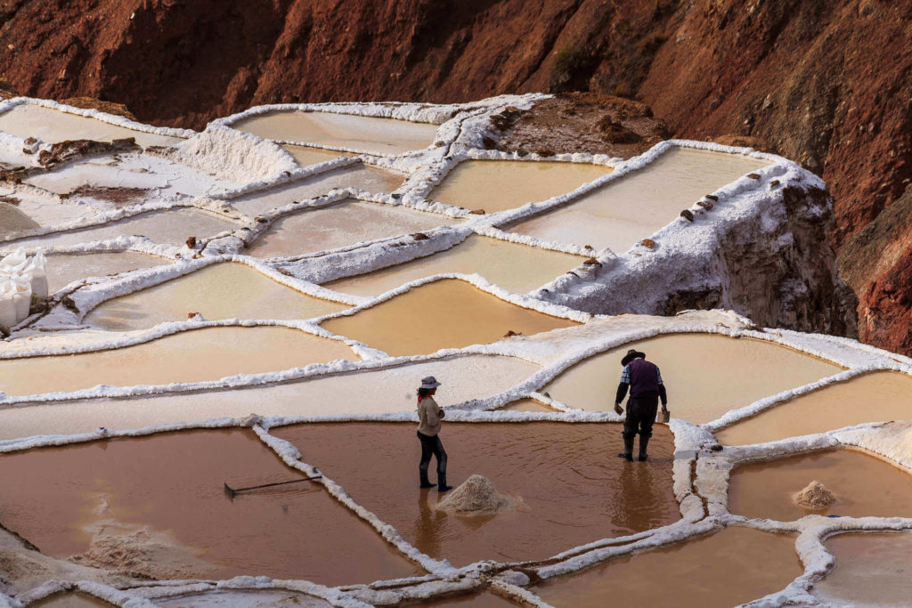 shutterstock_118132750