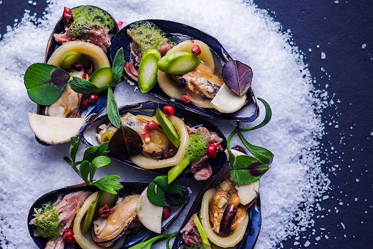 sea-food-mussels