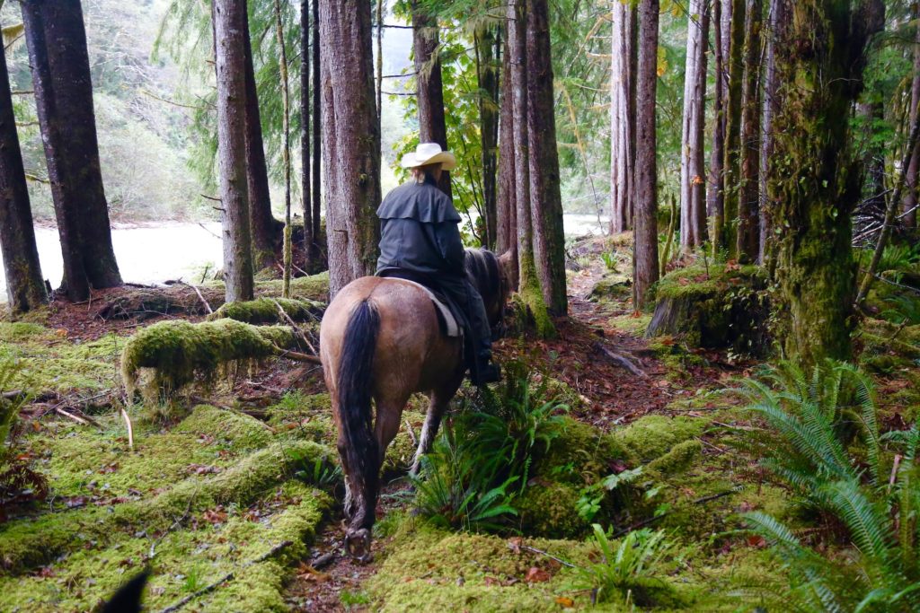 Clayoquot Wilderness Resort River Trail Misty Horse Ride