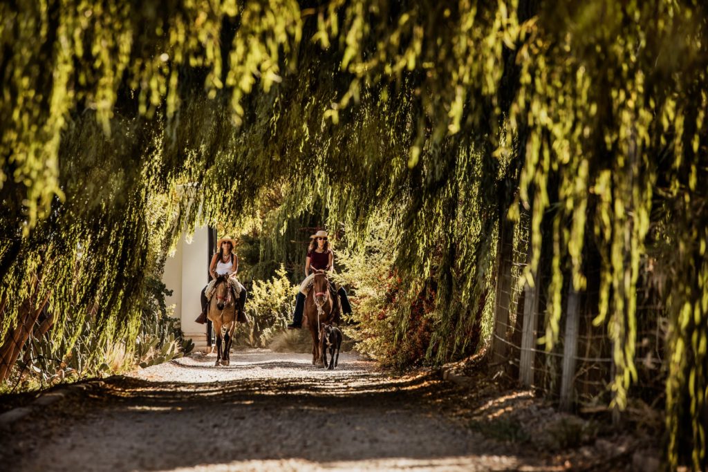 CAVAS_horse riding-min