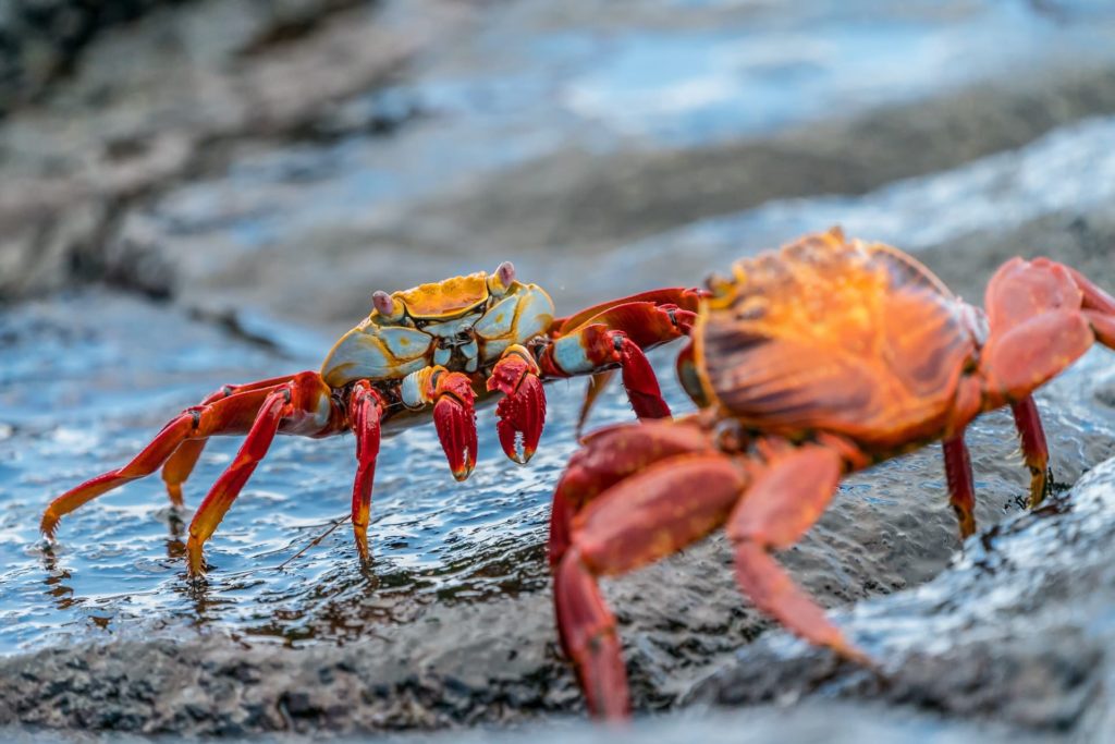 rod-long-CkwqazrTIwU-unsplash