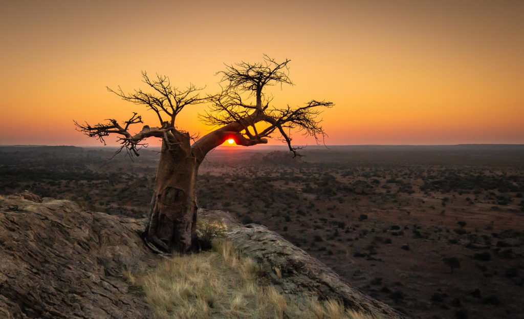 Park-Photo-Gallery-Expanded-Botswana-Mashatu-1