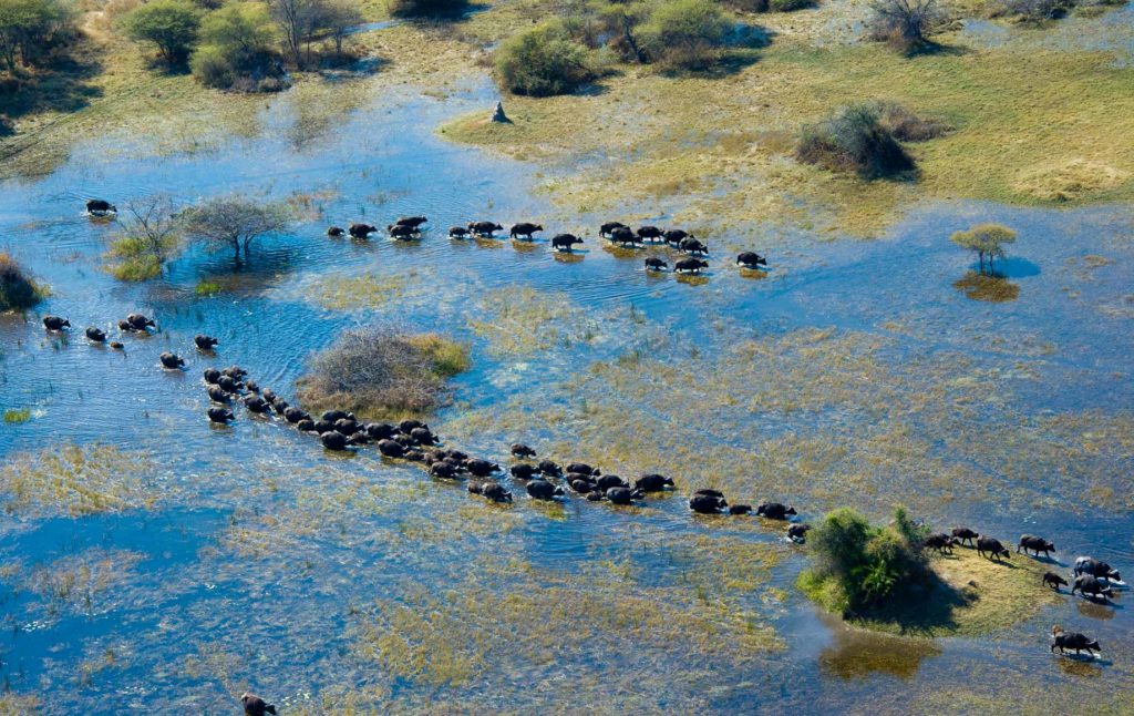 okavango-delta-4