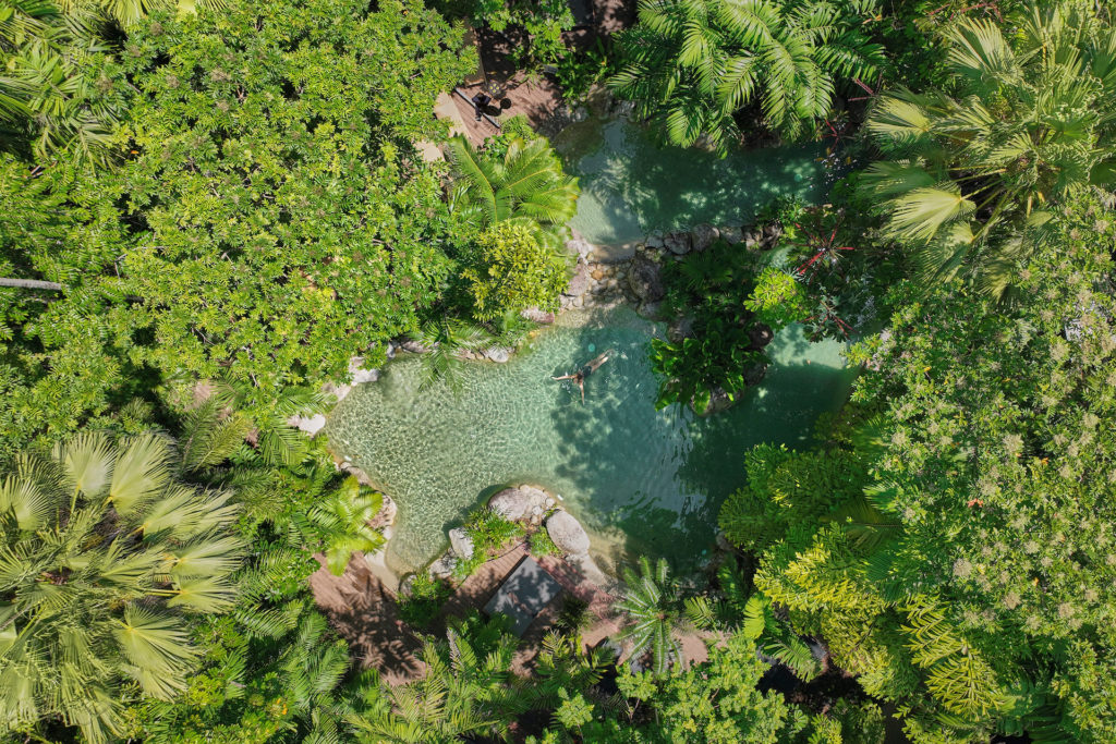 Silky-Oaks-Lodge_The-Daintree_Swimming-Pool